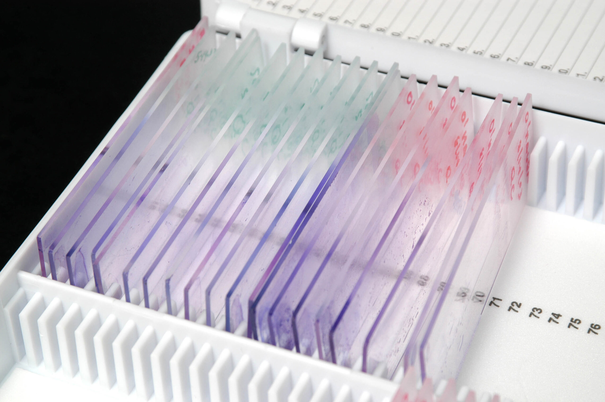 Indication search & development strategy