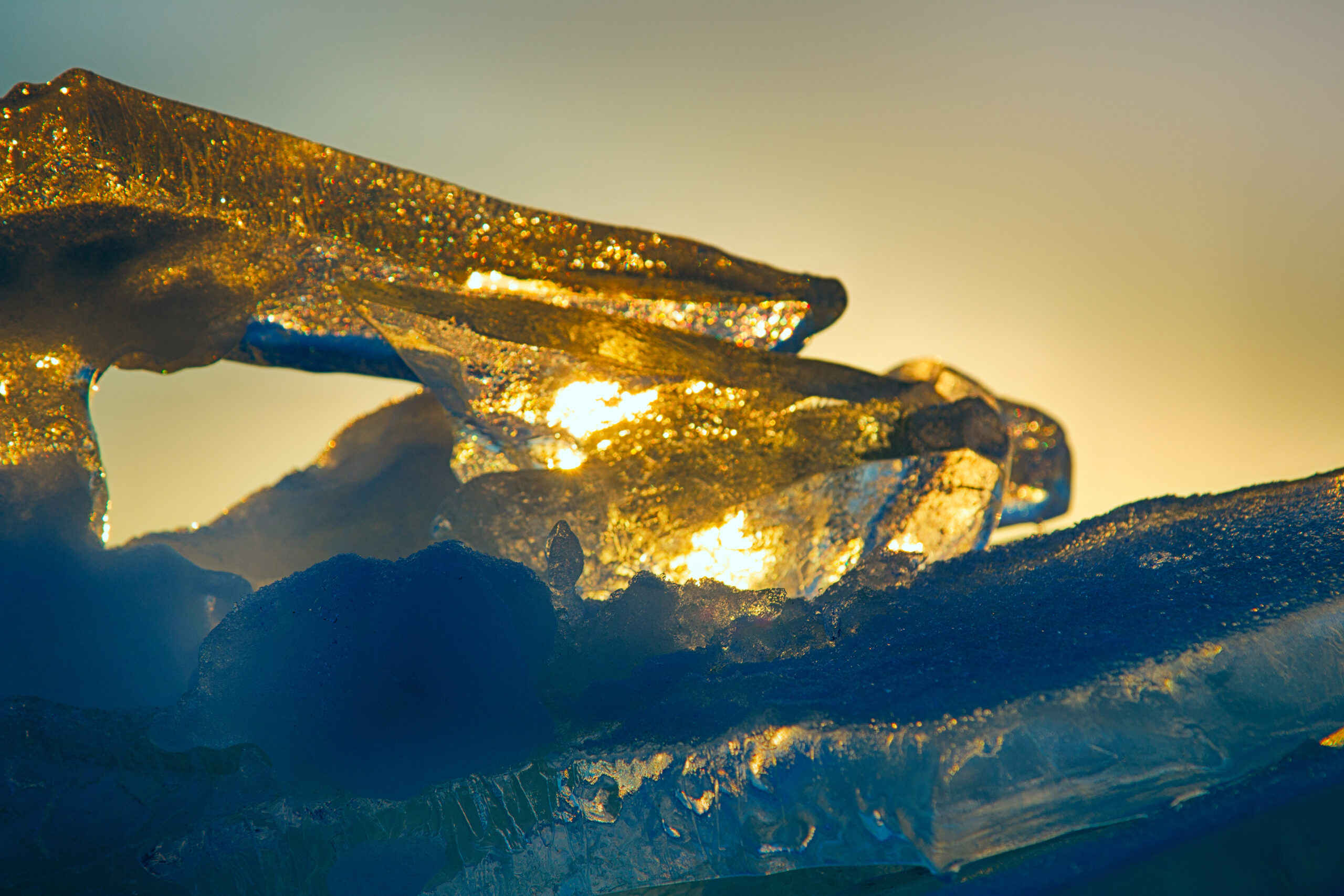 Microscopic image of a blue stained leaf