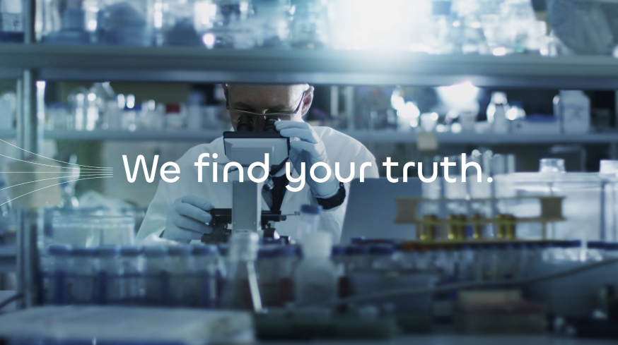 Asset Search & Evaluation