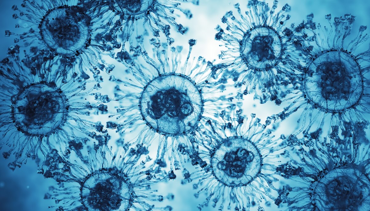 A Company Reinvented: How Scitaris Helped Small Biotech Pivot From Dermatology to Immunology